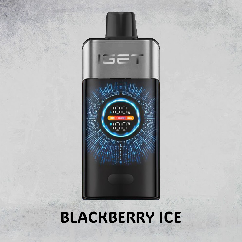 blackberry ice – iget one – 12000 puffs