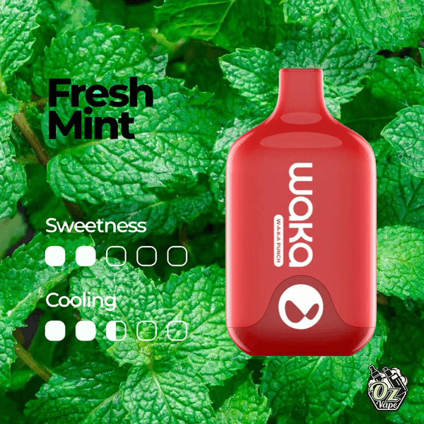 waka smash 6000 puff disposable vape