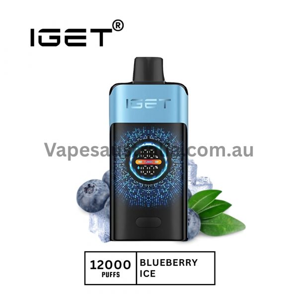 iget one 12000 puffs blueberry ice